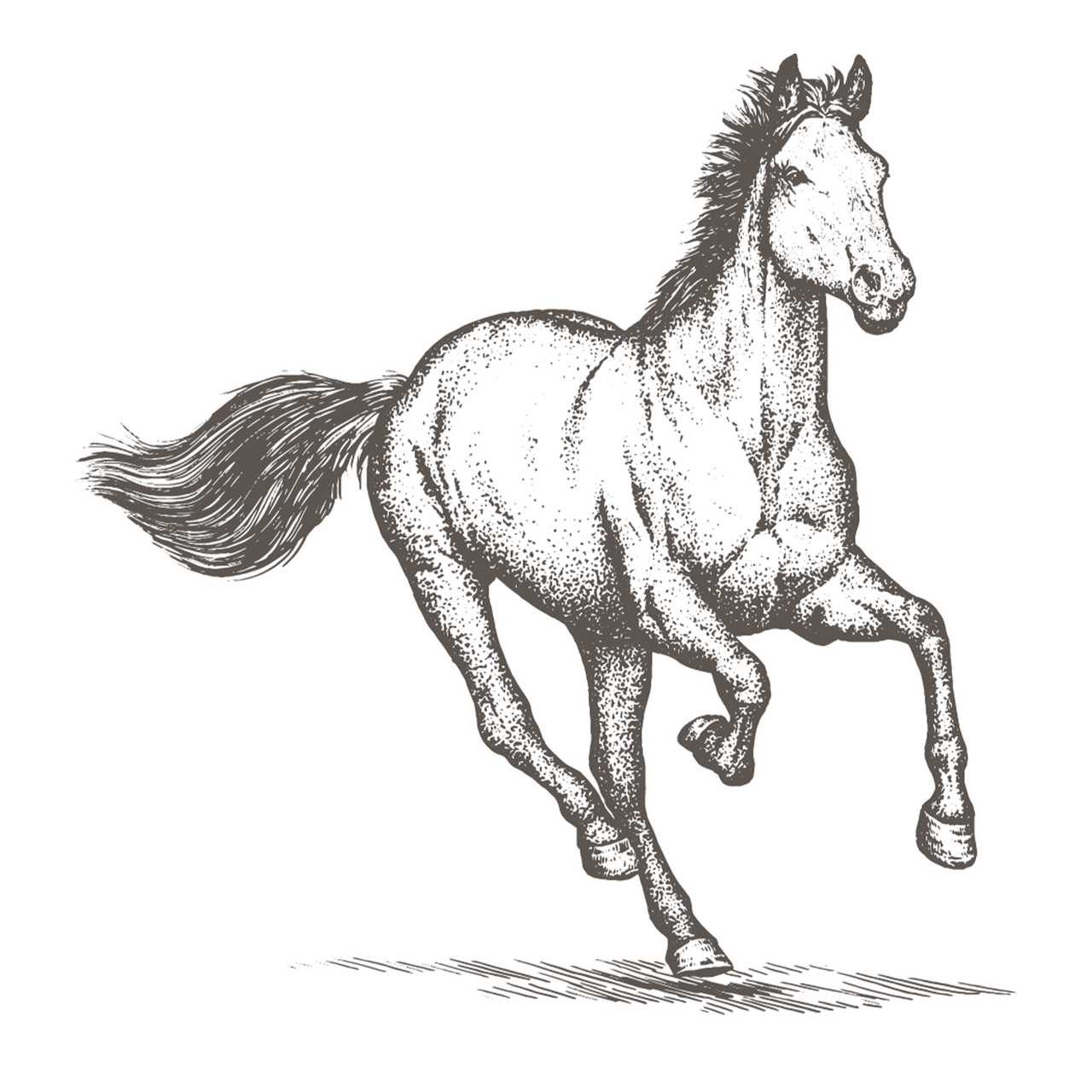 ce inseamna suprafata utila