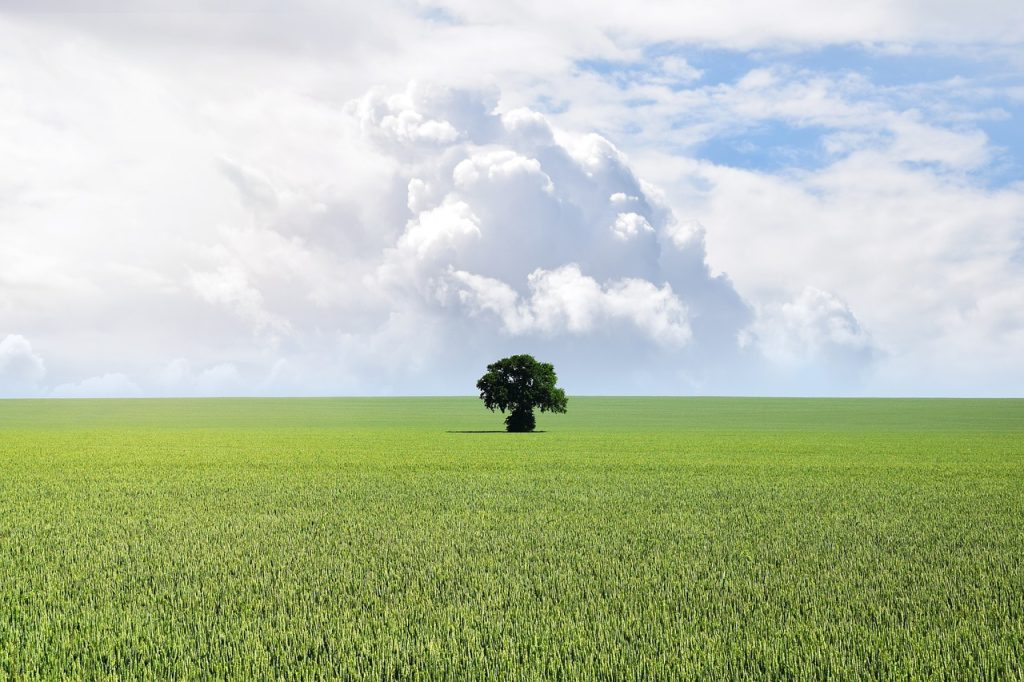 ce inseamna cadastru la o casa
