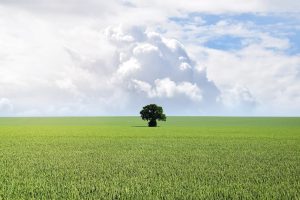 ce inseamna cadastru la o casa