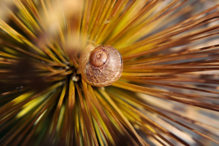 ce inseamna zona rezidentiala