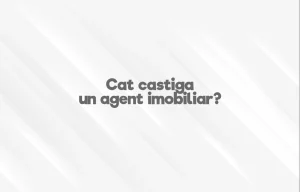 cat castiga un agent imobiliar