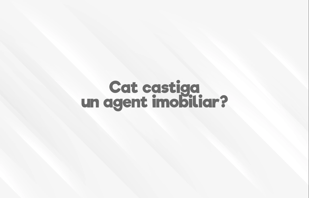 cat castiga un agent imobiliar